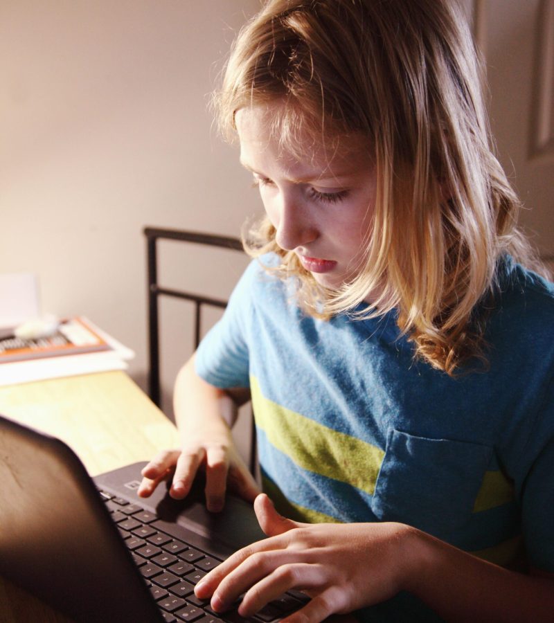 pexels-mccutcheon-3994051